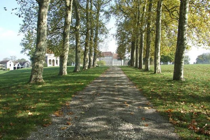 Château De Brangues - photo 3