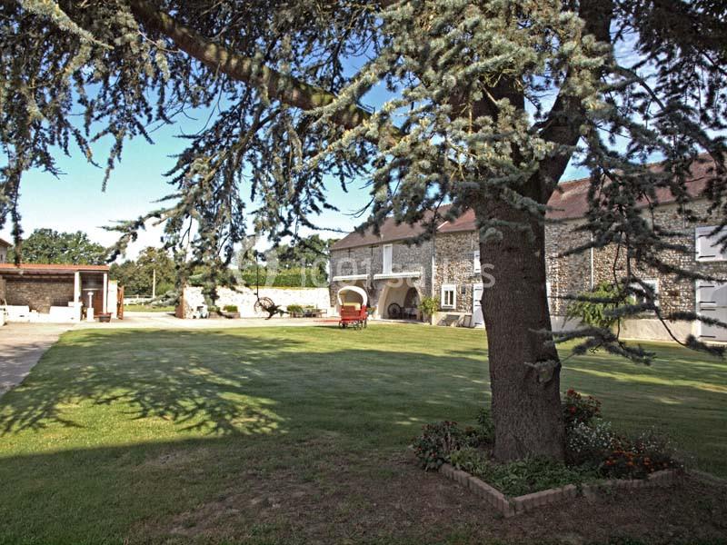 Cour d'une maison en pierre avec pelouse, grand arbre au premier plan et dépendances en arrière-plan.