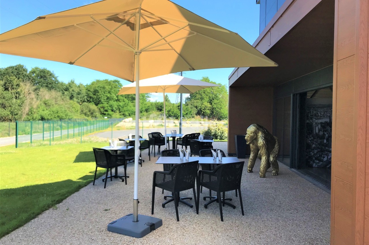 Terrasse avec tables, chaises et parasols, bordée d'une pelouse et d'un bâtiment moderne, sous un ciel ensoleillé.