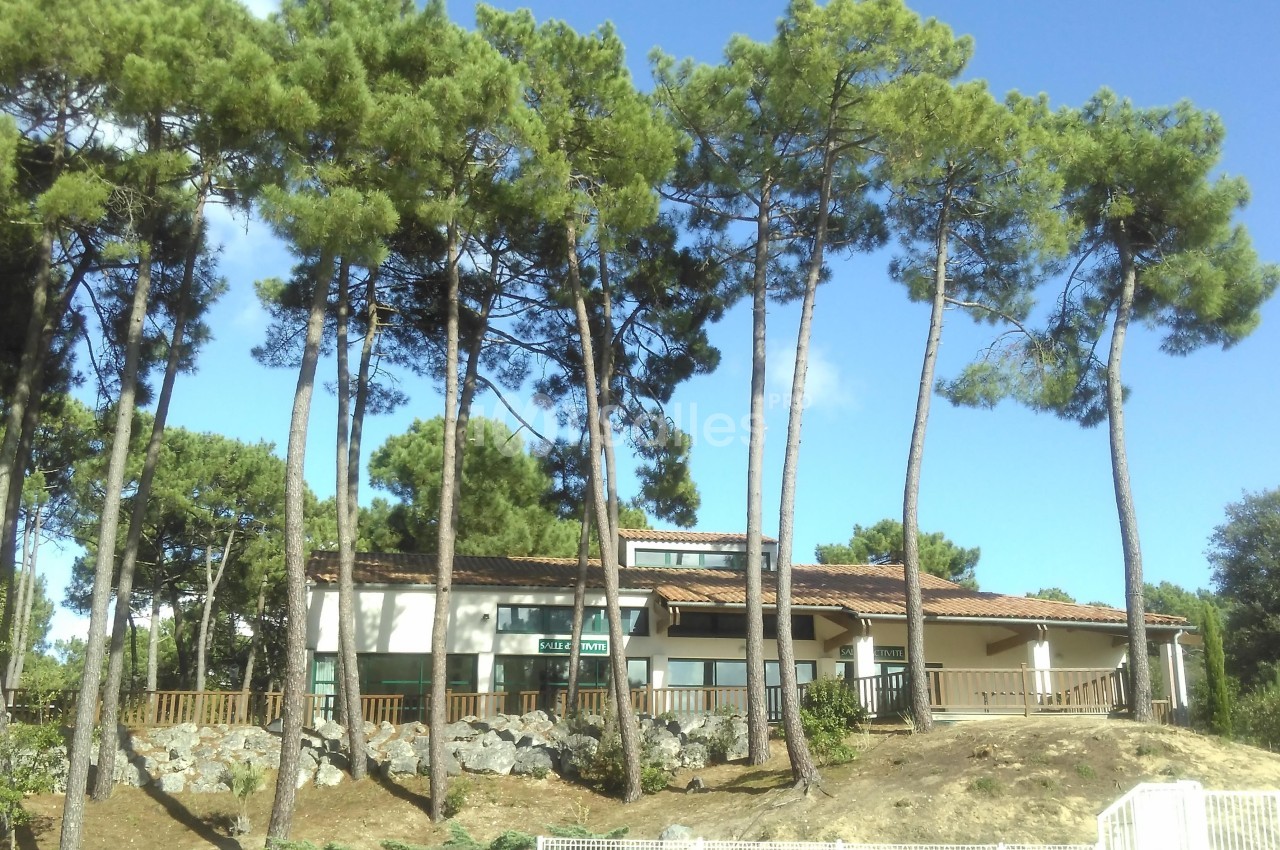 Bâtiment entouré de pins sous un ciel bleu, avec une clôture et un terrain légèrement en pente au premier plan.