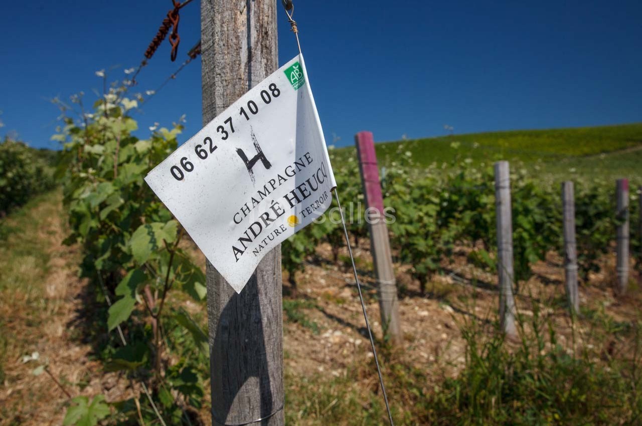 Poteau en bois avec une étiquette de vignoble ’Champagne André Heucq’ dans un champ de vignes sous un ciel bleu.