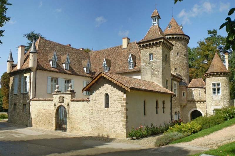 Château Teyssier De Savy - photo 1