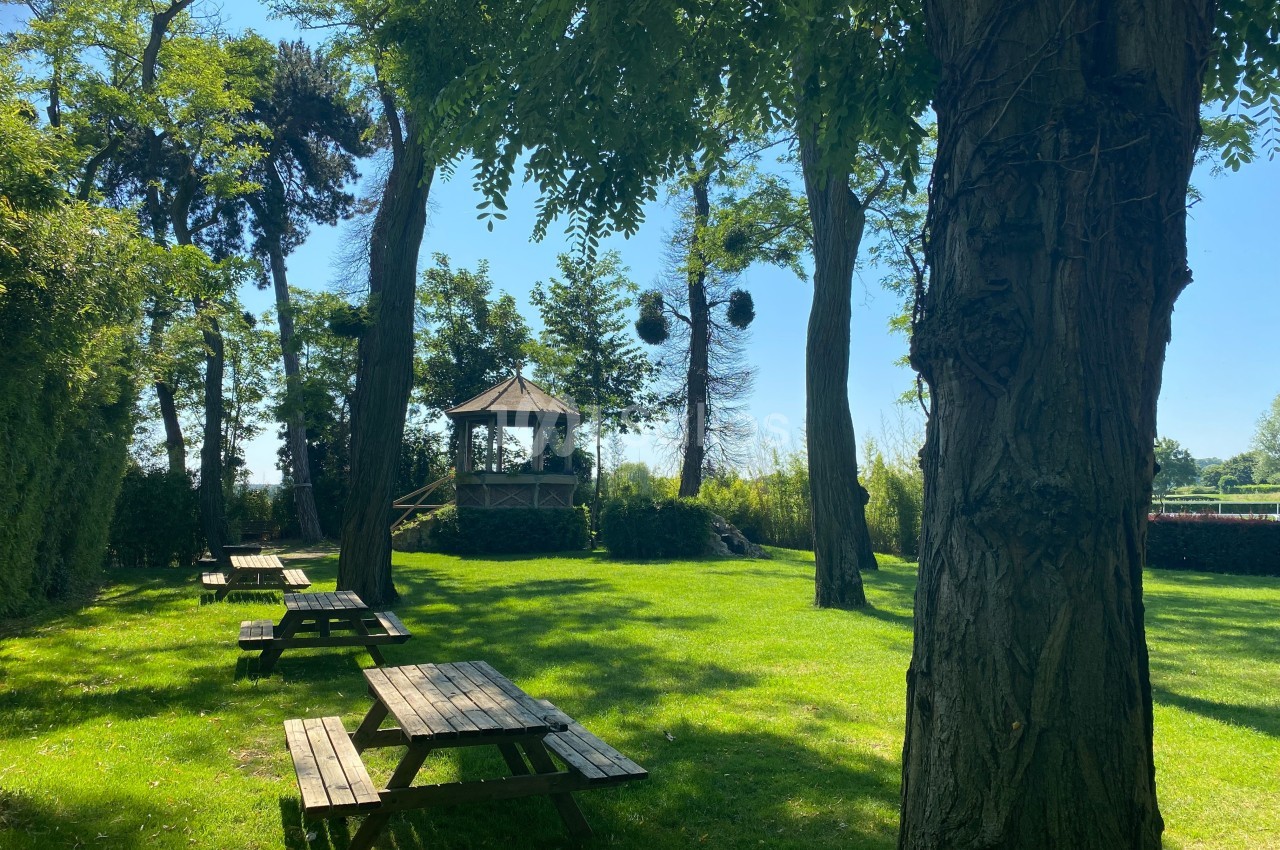 Espace vert avec tables de pique-nique en bois, arbres ombragés et kiosque au fond sous un ciel dégagé.