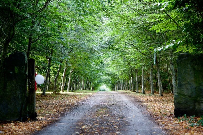 Domaine de Lossulien - photo 5