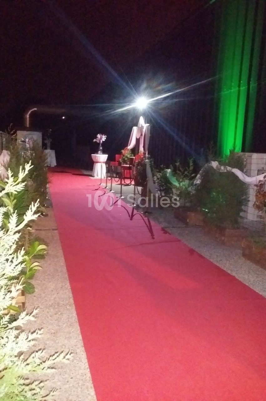 Allée avec tapis rouge éclairée la nuit, bordée de plantes et décorations lumineuses.