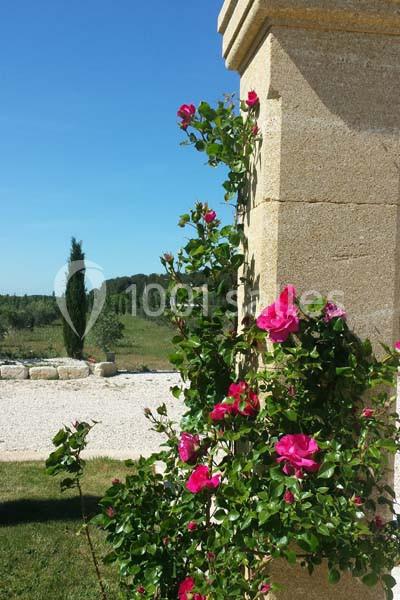 L’espillier - galerie - photo 11