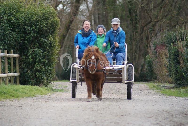 Domaine De Buchenois - galerie - photo 15
