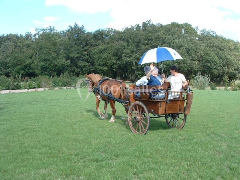 Domaine De Buchenois - galerie - photo 16