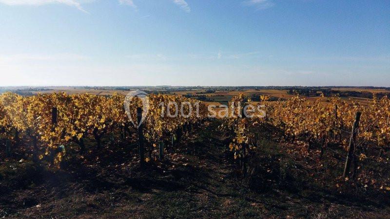 Domaine Fl - galerie - photo 7