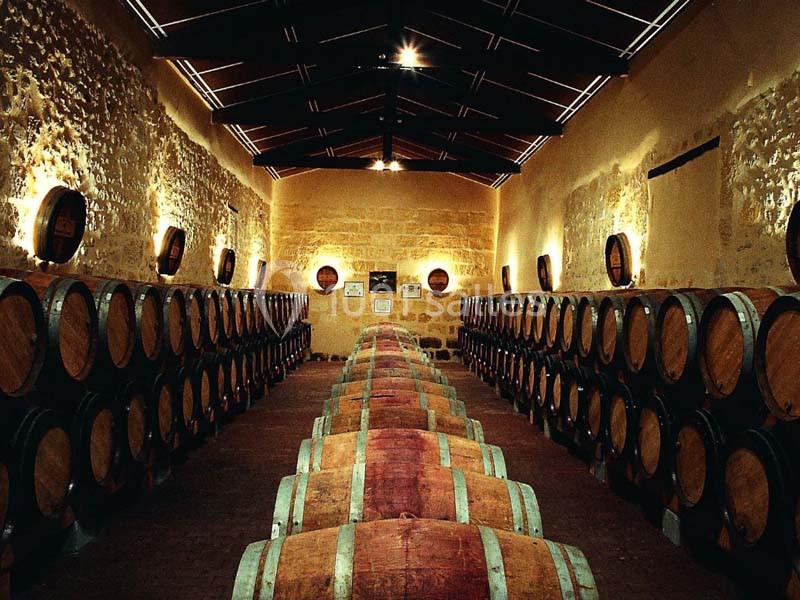 Château De Seguin - galerie - photo 22