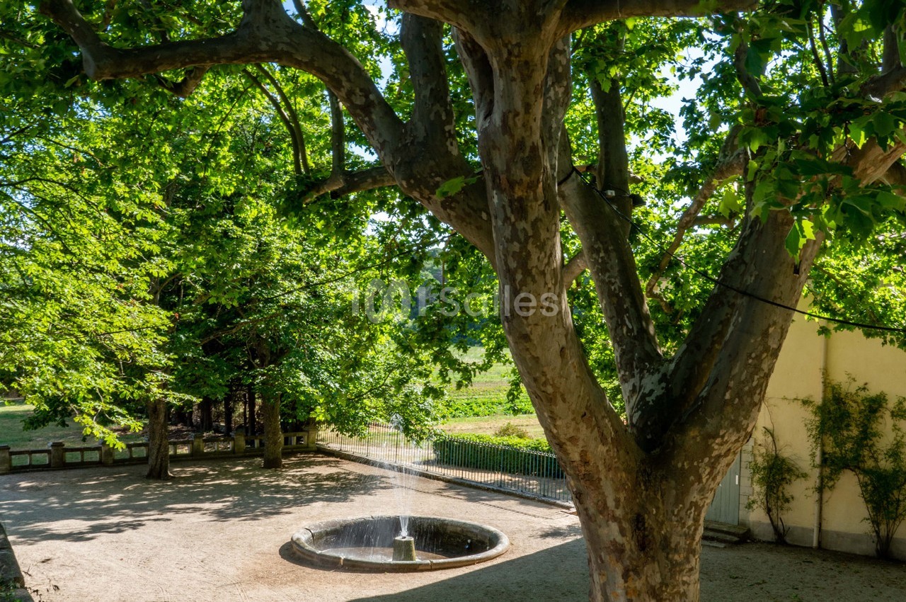 Domaine La Castelette - galerie - photo 53