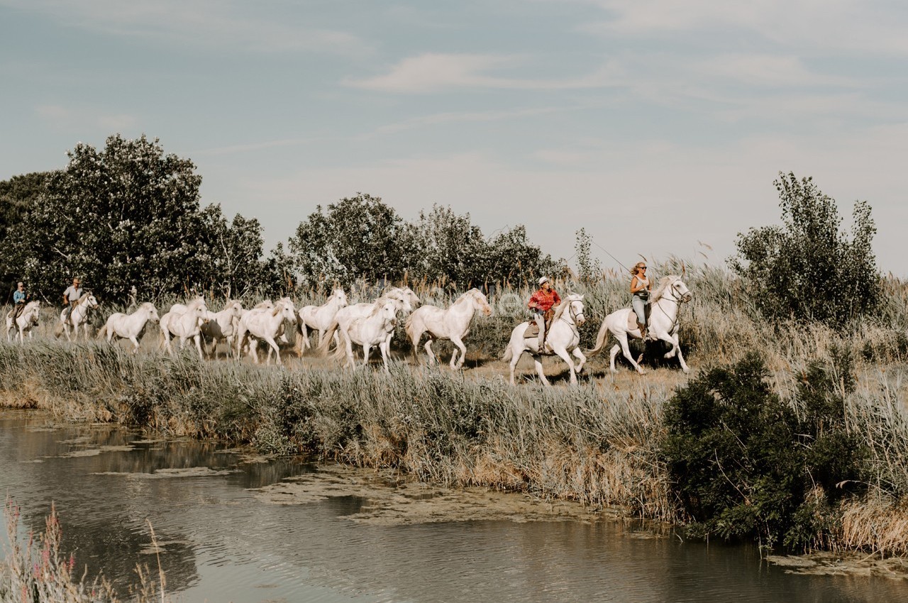 Le Sauvage, Domaine En Camargue - galerie - photo 8
