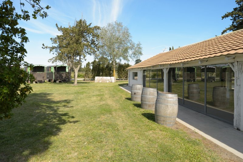 Le Sauvage, Domaine En Camargue - photo 3