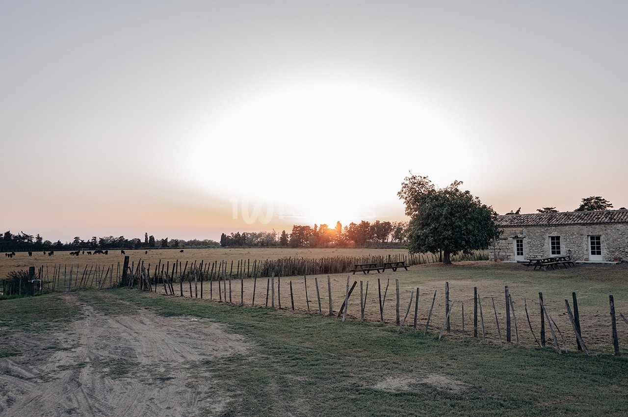 Le Sauvage, Domaine En Camargue - galerie - photo 7