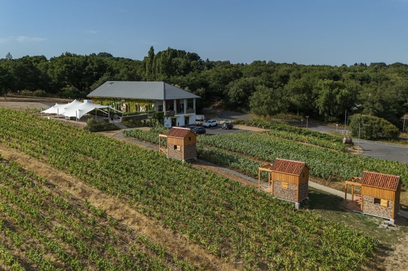 Réception Vignoble Marchais - photo 5