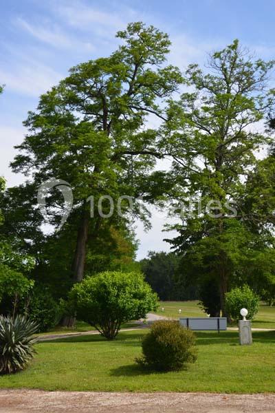 Le Caillavet - galerie - photo 21