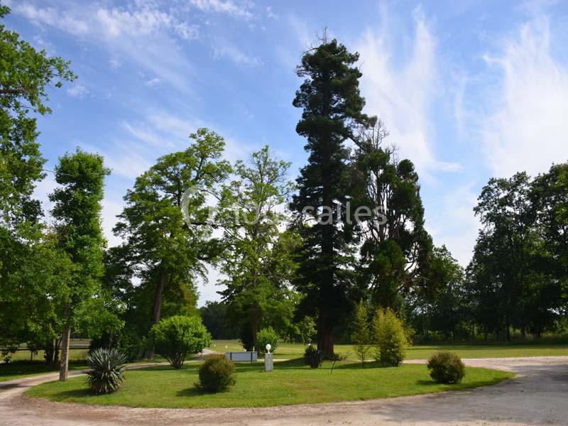 Le Caillavet - galerie - photo 14