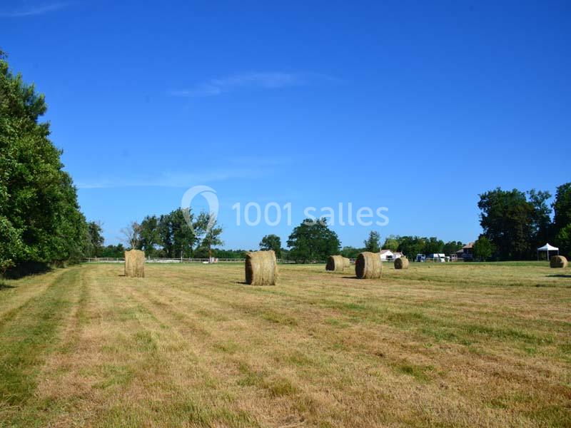 Le Caillavet - galerie - photo 13