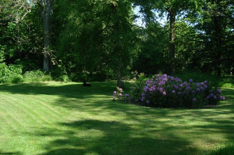 Le Germoir - photo 3