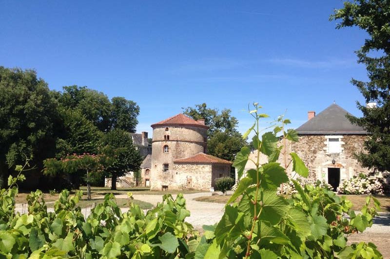 Château du Coing - photo 1