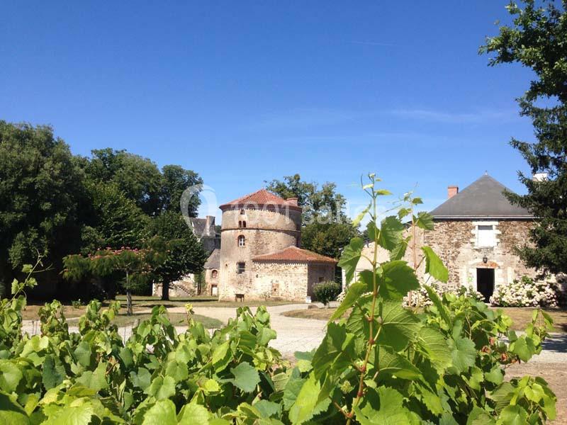 Château du Coing - galerie - photo 1