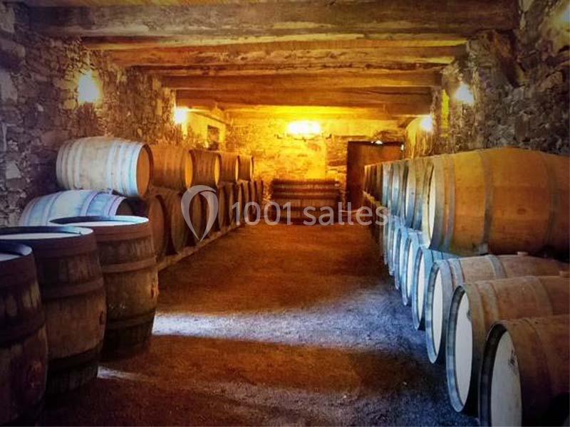 Château du Coing - galerie - photo 8