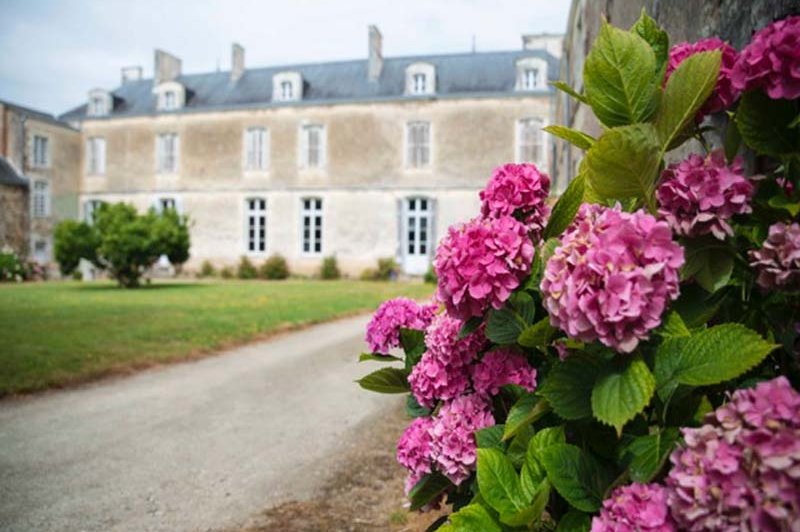 Château du Coing - photo 3