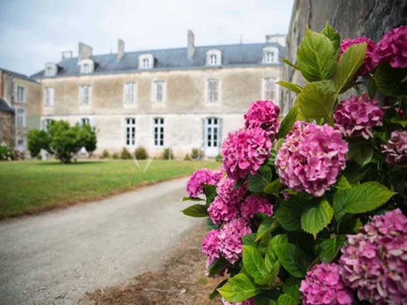 Château du Coing - galerie - photo 3