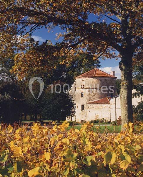 Château du Coing - galerie - photo 9