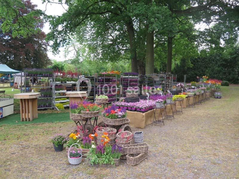 Château De Bossuit - galerie - photo 10