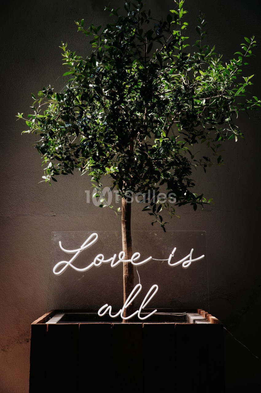 Arbre en pot éclairé par une enseigne néon blanche indiquant ’Love is all’ dans un environnement sombre.