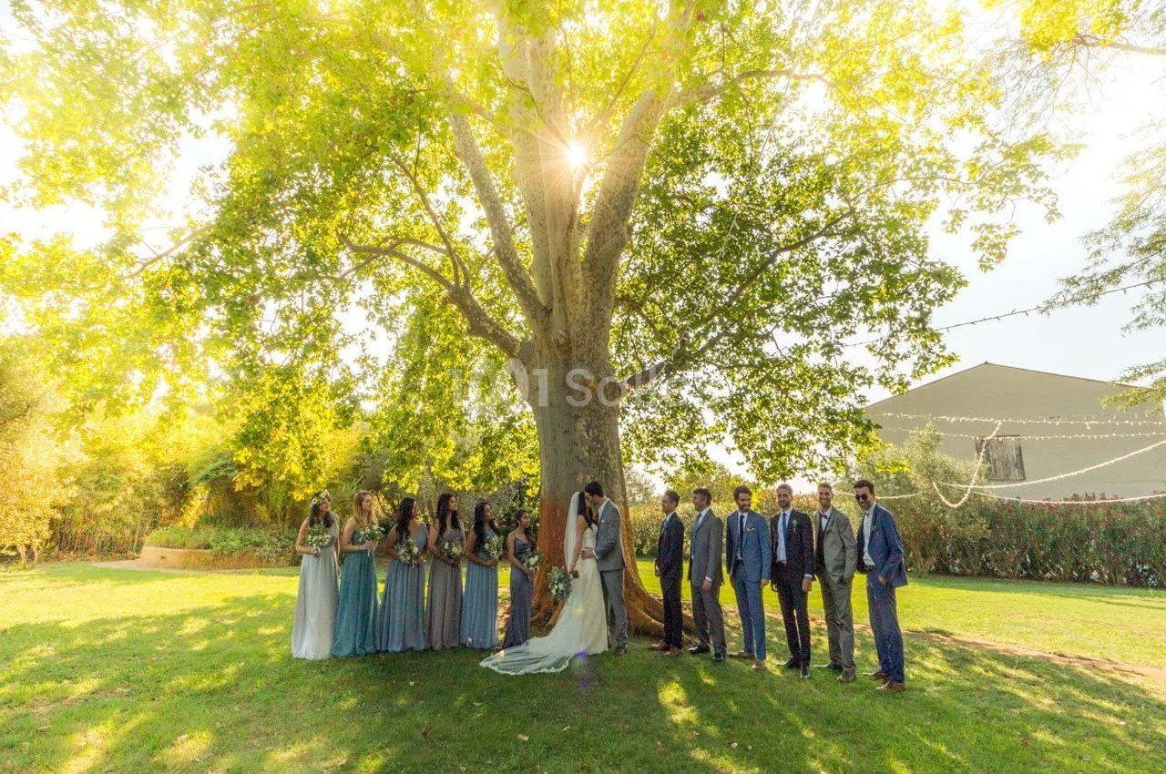 Un groupe de personnes en tenue de cérémonie posant sous un grand arbre dans un jardin ensoleillé.