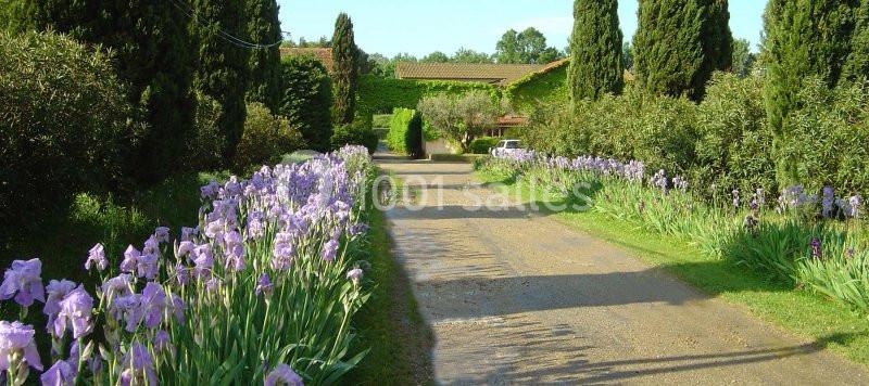 Allée bordée de fleurs violettes et de cyprès menant à une maison entourée de verdure.