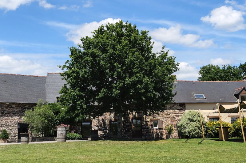 Domaine Le 5b - photo 4