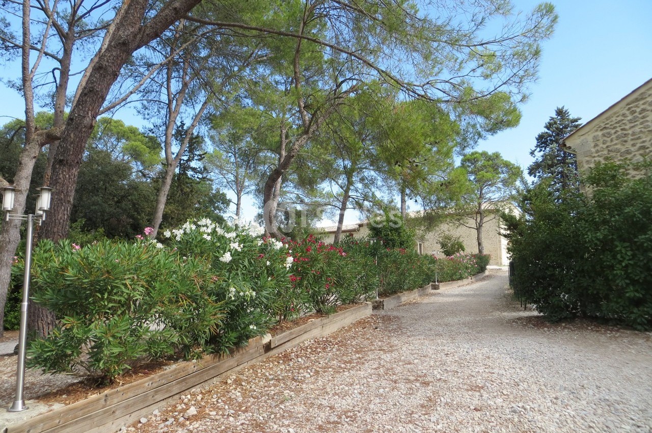 Domaine de Christin - galerie - photo 23