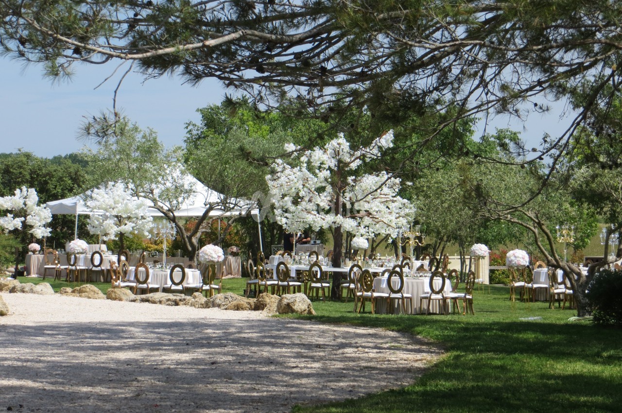 Domaine de Christin - galerie - photo 4