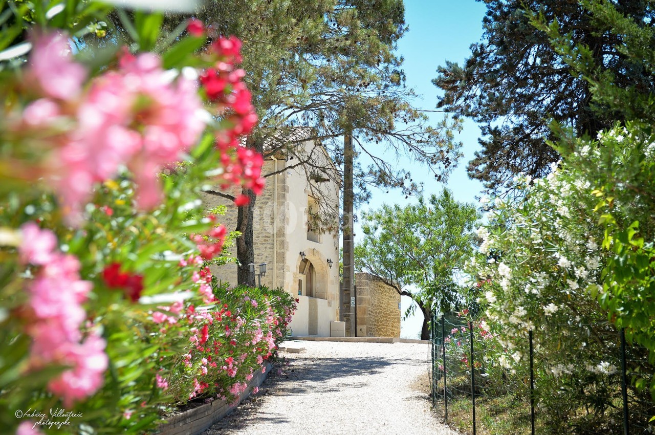 Domaine de Christin - galerie - photo 12