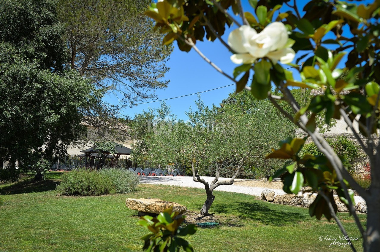 Domaine de Christin - galerie - photo 25