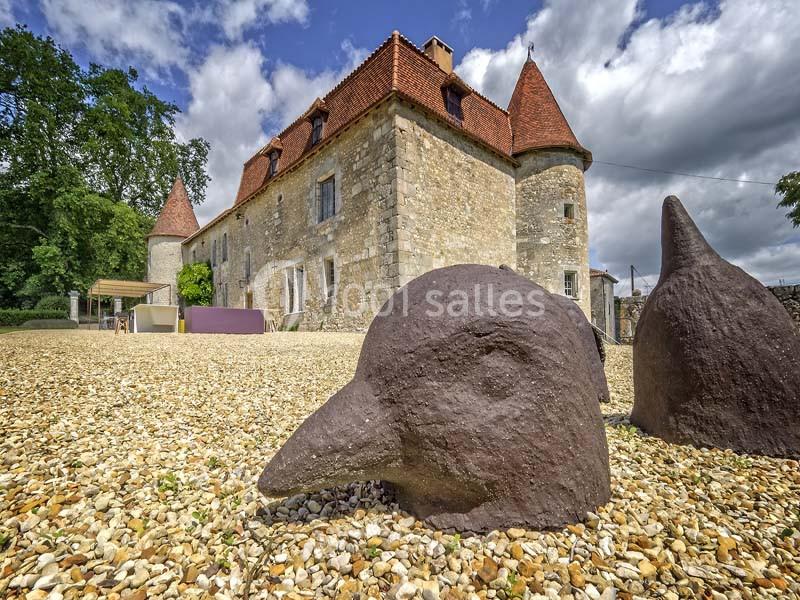 Château De Lerse - galerie - photo 7