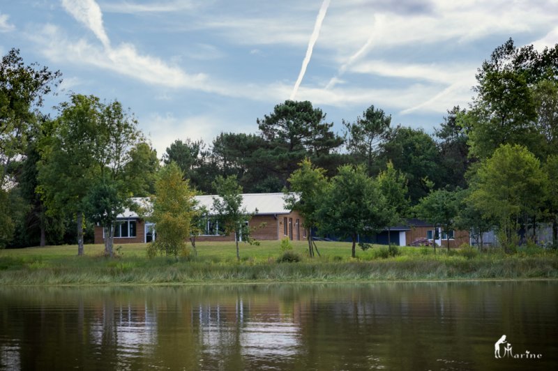 Domaine de ma Cabane Au Canada - photo 2
