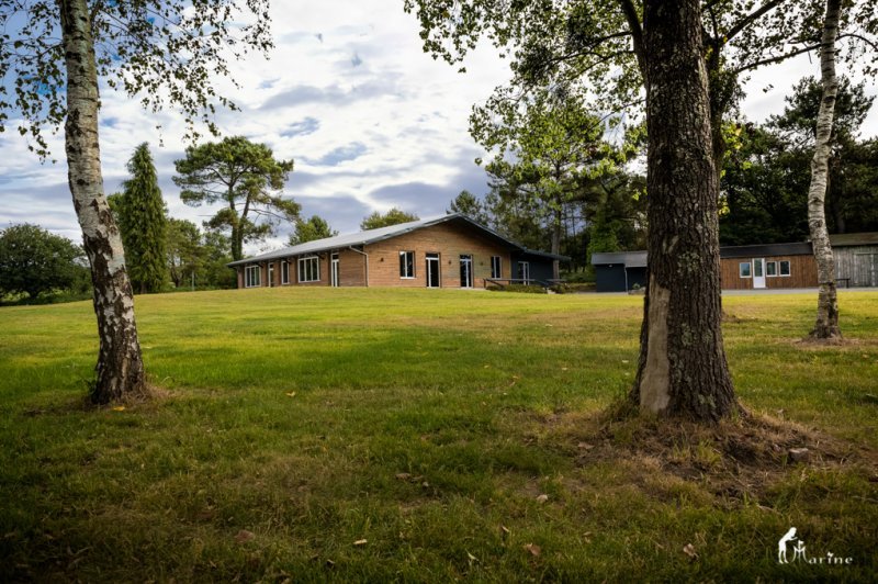 Domaine de ma Cabane Au Canada - photo 3