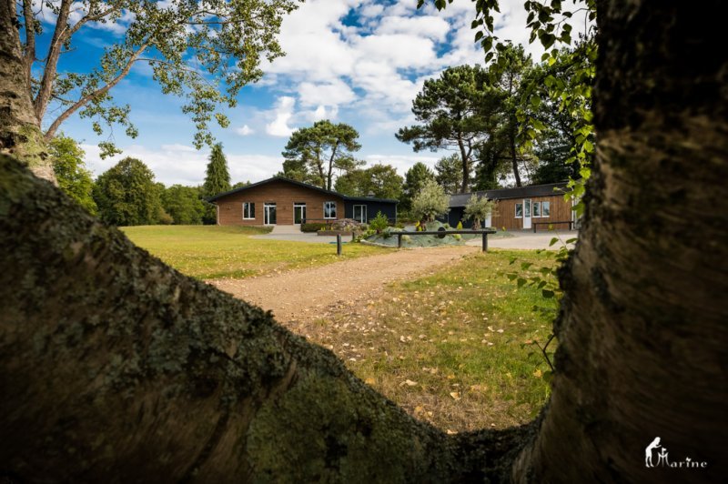 Domaine de ma Cabane Au Canada - photo 4