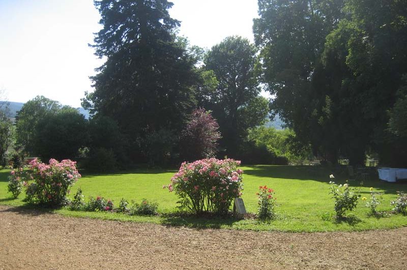 Château Des Vergers - photo 5