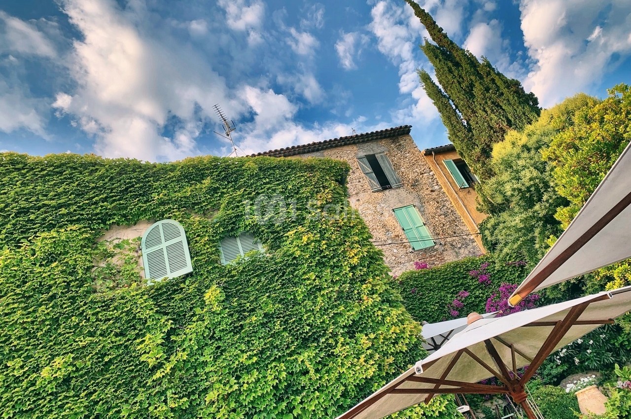 Façade d'une maison en pierre recouverte de lierre, avec volets colorés, arbres et ciel partiellement nuageux.