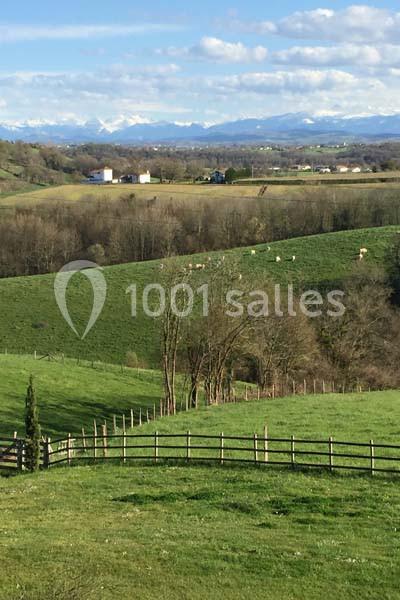 Paysage rural avec des collines verdoyantes, des arbres, des pâturages avec des vaches et des montagnes enneigées à l…