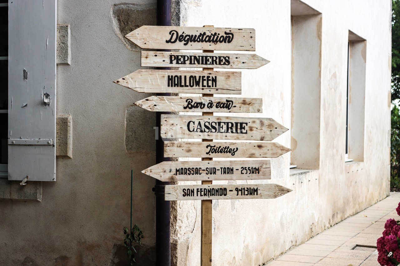 Château La Grave Béchade - galerie - photo 4