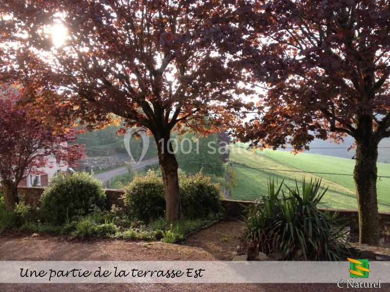 Vue sur une terrasse bordée d'arbres et de buissons, avec un paysage de campagne verdoyante en arrière-plan.