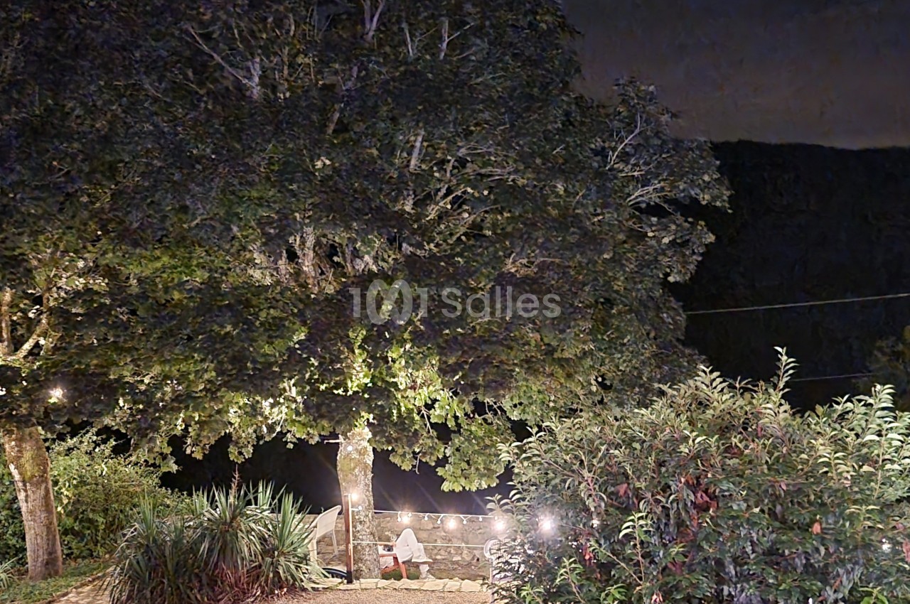 Arbre illuminé par des guirlandes lumineuses dans un jardin nocturne avec des buissons au premier plan.