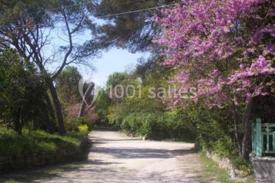 La Guérine - photo 2