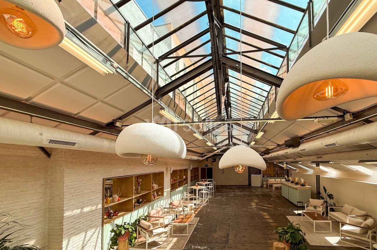 Intérieur lumineux d'un espace moderne avec verrière, mobilier minimaliste et plantes décoratives.